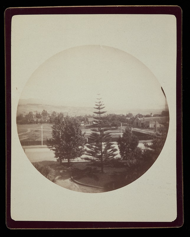 From my window at the Arlington. Santa Barbara, Oct. 1890