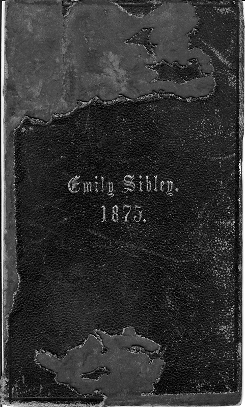 Emily Sibley's 1875 diary