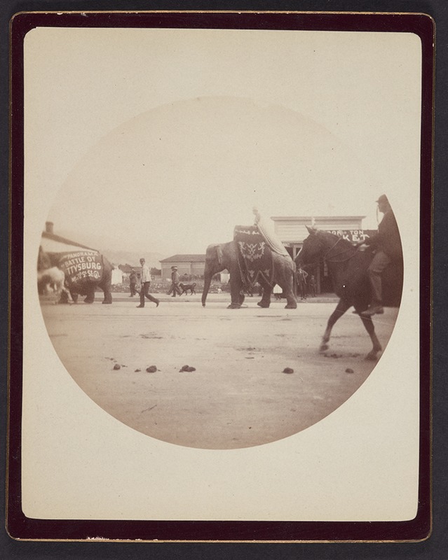 Circus day at Santa Barbara, Sep. 29th, 1890