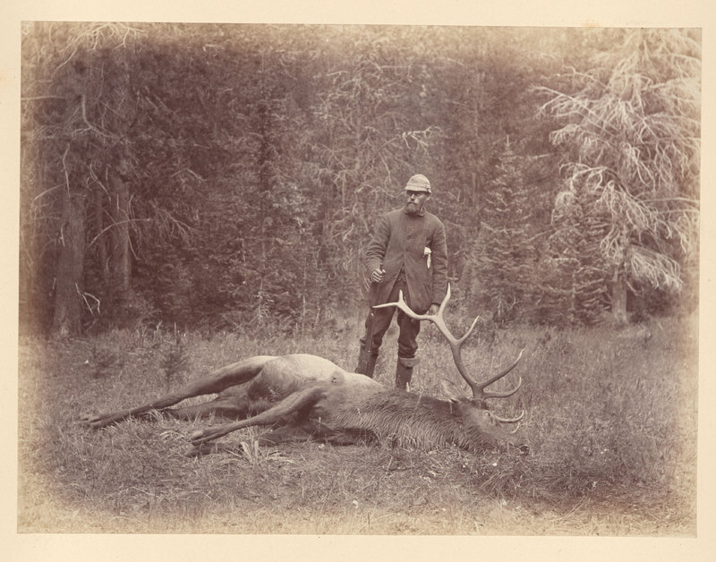 James Sibley Watson with dead elk<br />
