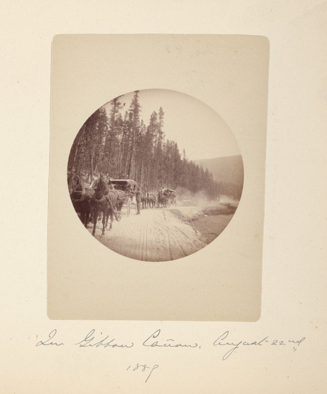 In Gibbon Cañon. August 22nd 1889<br />
