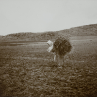 Woman carrying load of grass on her back, 1891
