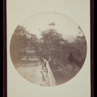 The bridge in Mission Cañon. Oct. 1890. Santa Barbara.<br />
