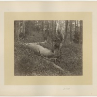 James Sibley Watson hunting