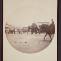 Circus day at Santa Barbara, Sep. 29th, 1890