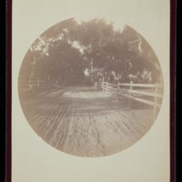 Cathedral Oaks. Santa Barbara. Oct. 1890<br />
