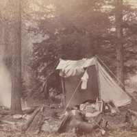 Lean-to in woods<br />
