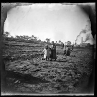 People walking in fields, Egypt, 1892-1893