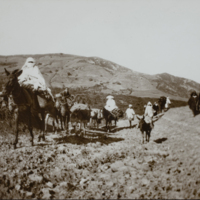 Caravan of people on donkeys, 1891