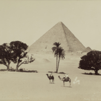 Pyramide de Chéops (vue lointaine) 