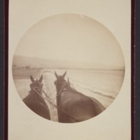 Our daily ride on the beach, Santa Barbara, Oct. 1890<br />
