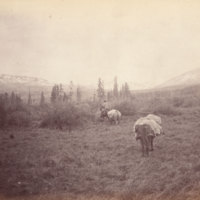 Man on horseback leading two pack horses through mountain landscape<br />
