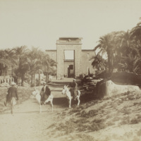 Karnak Avenue des Beliers. 