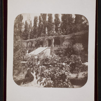 Gardens of the English Consul, Granada, June 4, 1891