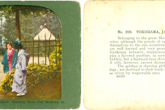 Stereoviews and View Masters