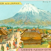 2653. Bilder aus Japan (Liebig\'s Fleisch-Extract,1905) 