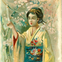 3236. Flower Day, Japan (Duke's Cigarettes)