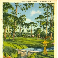 3313. C.3 Japanese Garden, Clearwater, Fla.