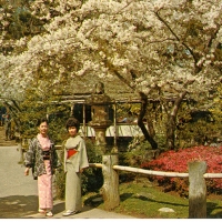 2794. Japanese Tea Garden, Golden Gate Park