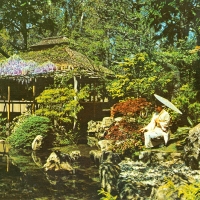 2795. Japanese Tea Garden. San Francisco, California