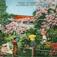 2800. Japanese Tea Garden, Golden Gate Park, San Francisco, Calif.