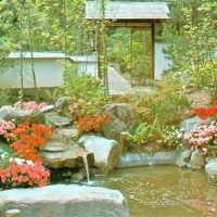 2807. Upper Hillside Moss Garden Entrance Gate. In the Japanese Garden at Portland, Oregon