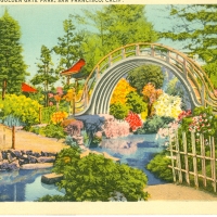 2813. Japanese Tea Garden, Golden Gate Park, San Francisco, Calif.