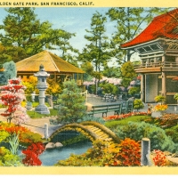 2814. The Garden, Golden Gate Park, San Francisco, Calif.