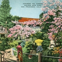 2817. Japanese Tea Garden, Golden Gate Park, San Francisco, Calif.
