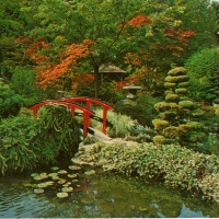 2819. The Butchart Gardens, Victoria, B.C., The Japanese Garden