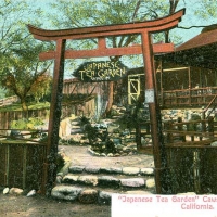 2893. Japanese Tea Garden, Cawston Ostrich Farm, California