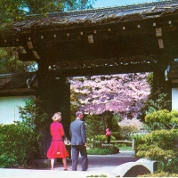 3269. West Entrance to Japanese Tea Garden, San Francisco