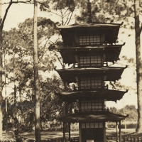 2872. Japanese Garden, Clear Water, Fla. (1939)