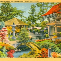 3419. Japanese Tea Garden, Golden Gate Park, San Francisco, Calif.