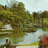 3422. Beautiful Japanese Garden located in University of Washington arboretum