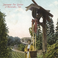 3147. Japanese Tea Garden at Coronado, Cal. 