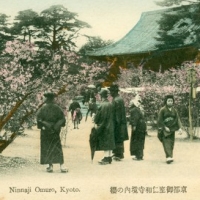 1436. Ninnaji Omuro, Kyoto