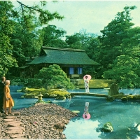 3433. Ancient Gardens, Kyoto Japan