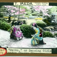 3083. Maiko, or Dancing Girls under Cherry Blossoms 