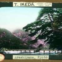 3060. Arashiyama, Kyoto