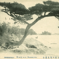 2228. Hoshigasaki, Matsushima