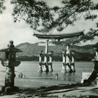 2239. Torii of Itsukushima, MIyajima