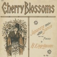 3170. Cherry Blossoms (1904)