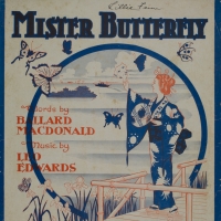 3041. Mister Butterfly (1917)