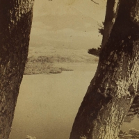 1957. Glorious Fuji, beloved by artists and poets, seen from N.W. through pines at Lake Motosu, Japan (1904)