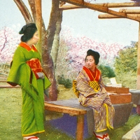 1690. Japanese Maidens in Norji Park, Tokyo (No. 667)