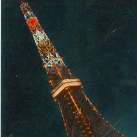 3484. Night View of Tokyo Tower