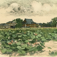 2423. Ueno Lotus Pond (Tokyo)